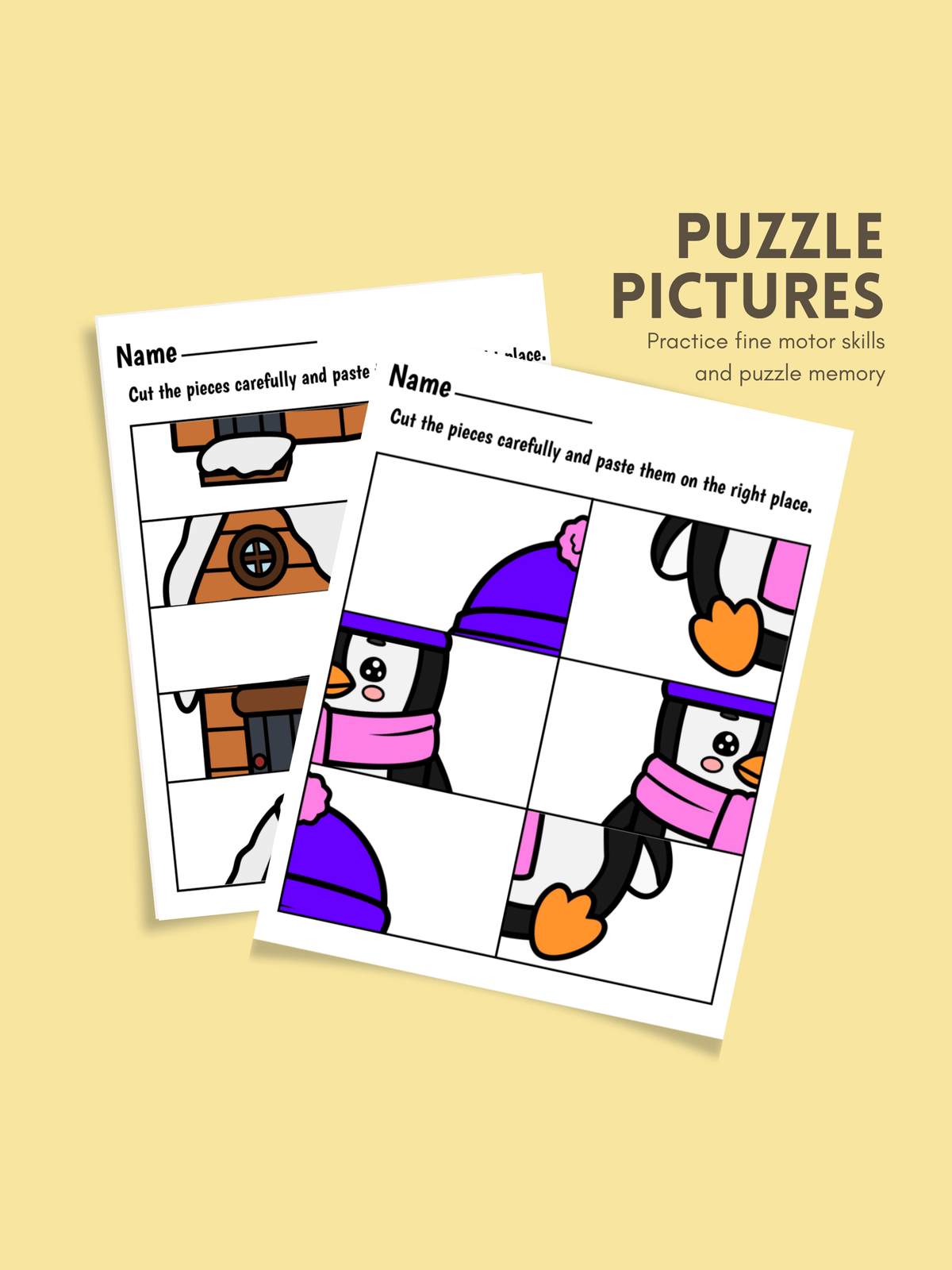 Puzzle Pictures